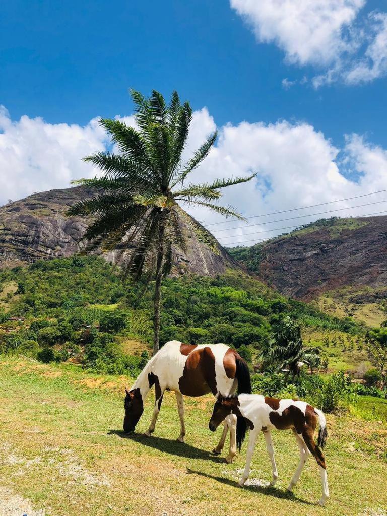 Hotel Fazenda Pedra Do Rodeadouro โบนีโต ภายนอก รูปภาพ