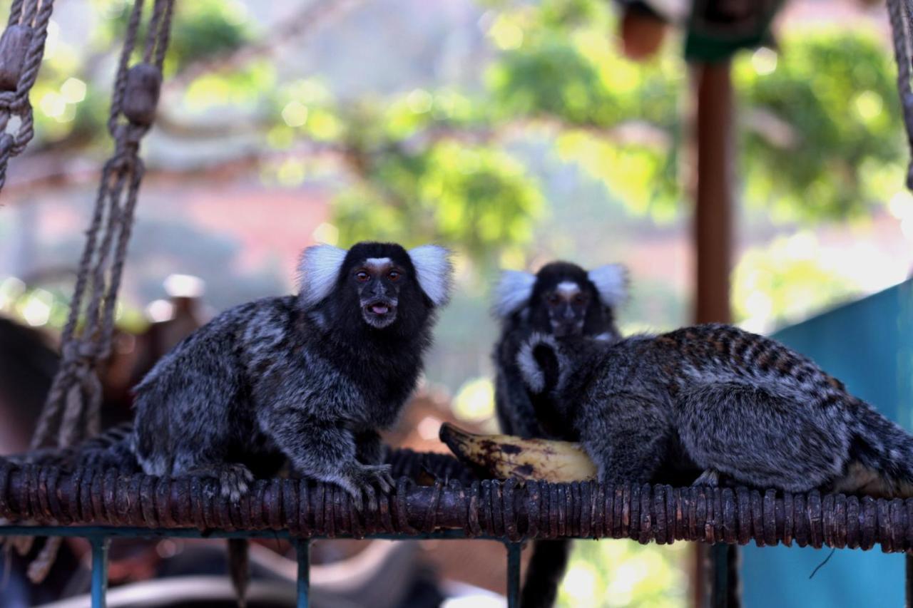 Hotel Fazenda Pedra Do Rodeadouro โบนีโต ภายนอก รูปภาพ